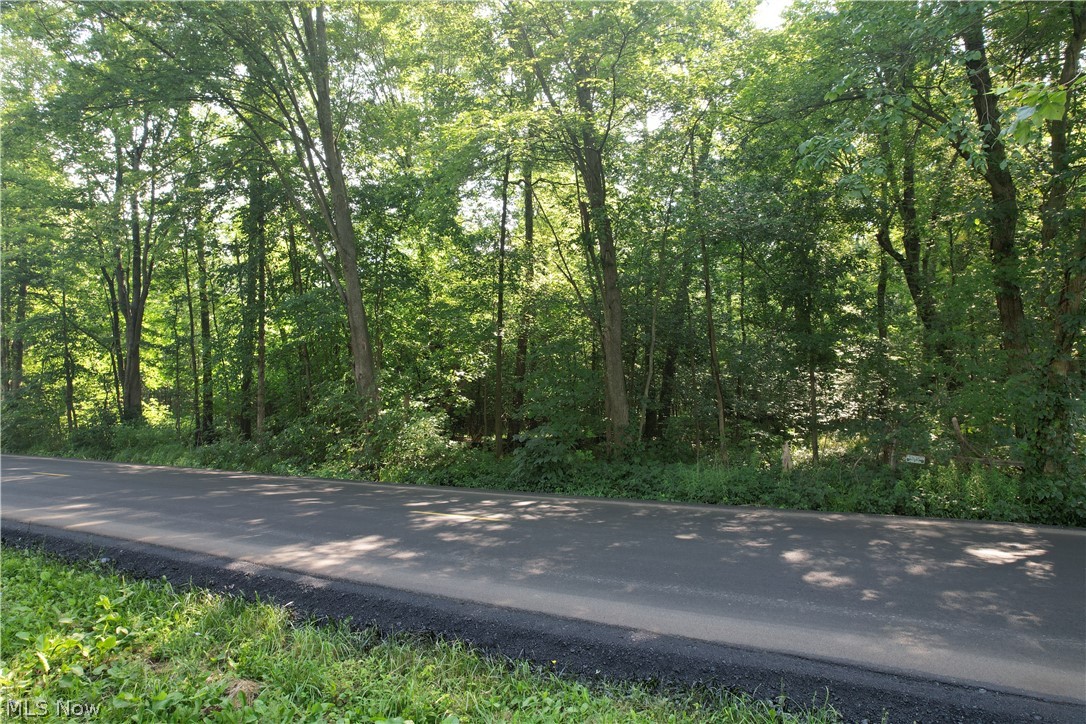North Mahoning Portage County Line Road Lake Milton, OH 44429 - Photo 13 of 15 Gallery Image 13