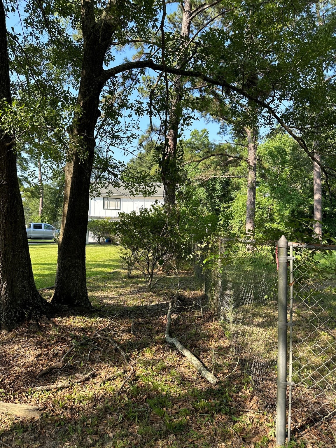 15361 Westgate Road Splendora, TX 77372 - Photo 11 of 18 a view of a yard with large trees