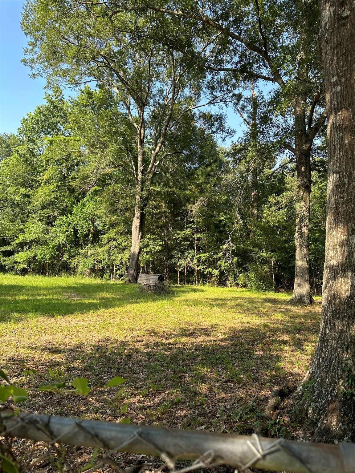 15361 Westgate Road Splendora, TX 77372 - Photo 13 of 18 a view of a yard with an outdoor space