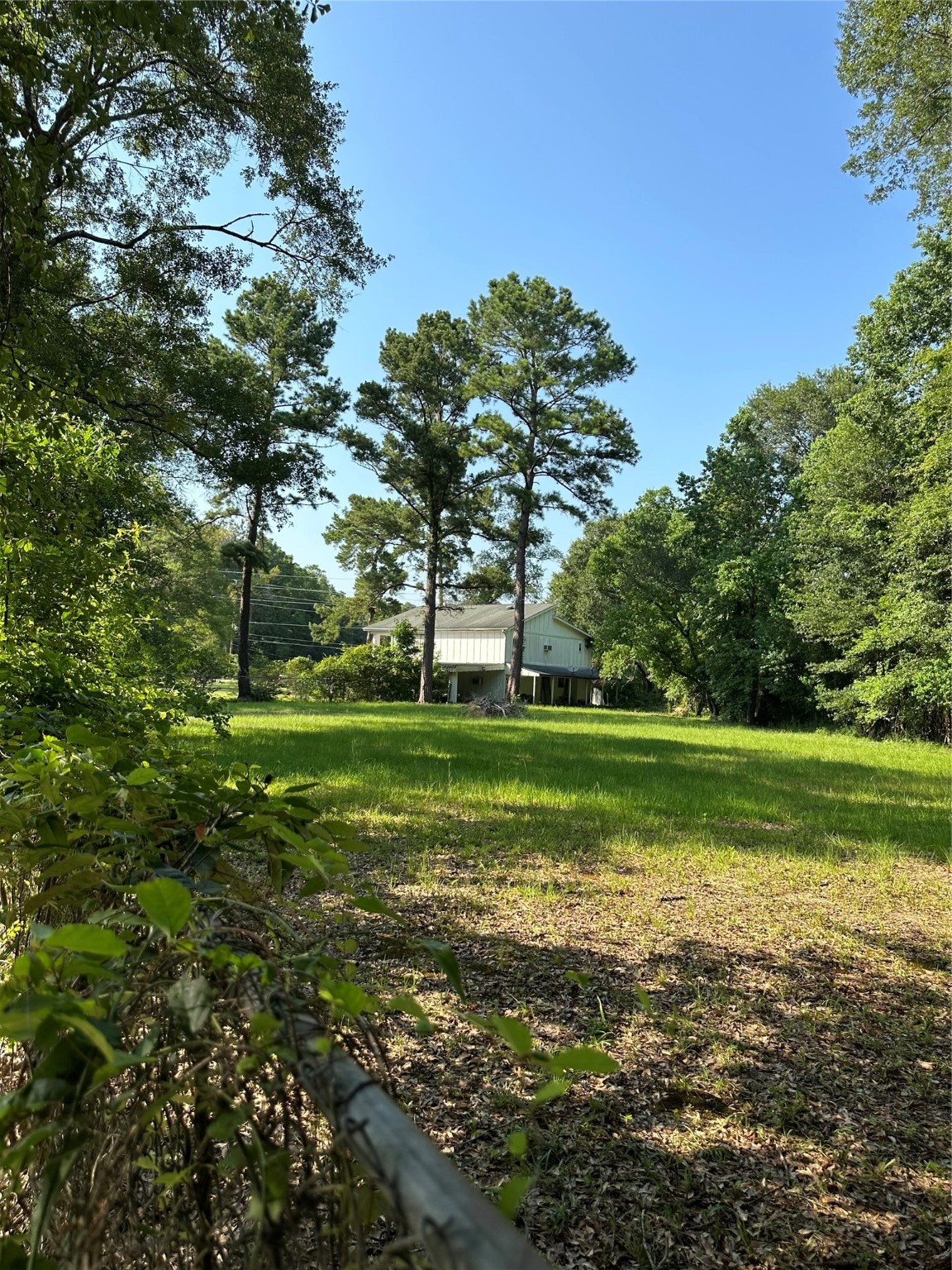 15361 Westgate Road Splendora, TX 77372 - Photo 14 of 18 a view of a park with large trees