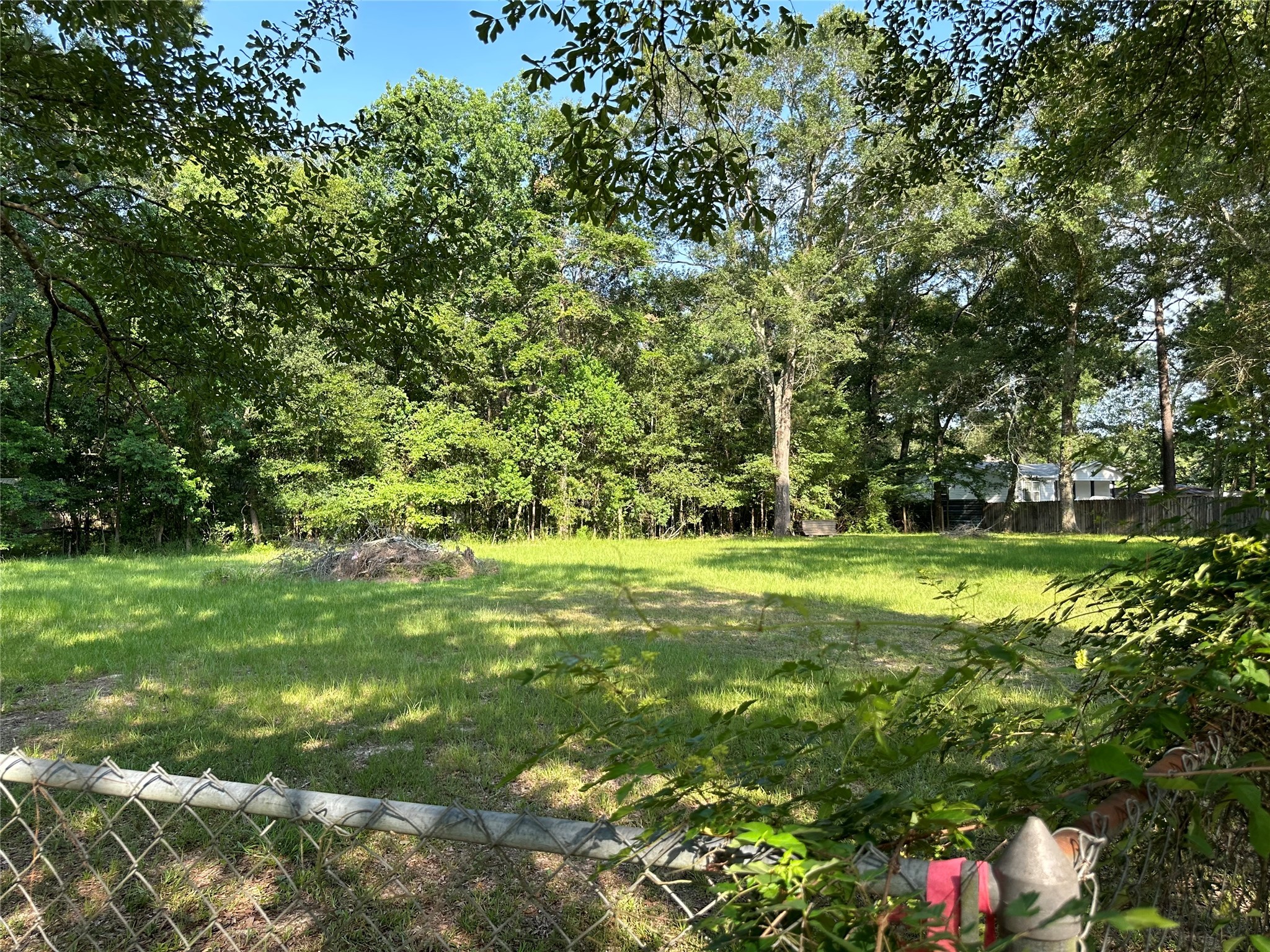 15361 Westgate Road Splendora, TX 77372 - Photo 15 of 18 a view of a park with large trees