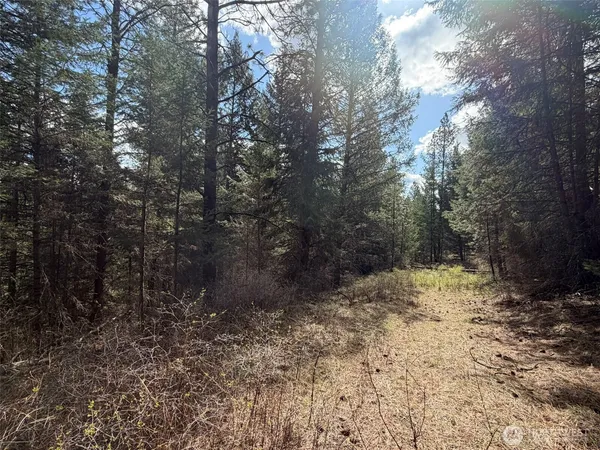 $99,500 | 111-tbd W West Curlew Lake Road, Republic, WA 99166