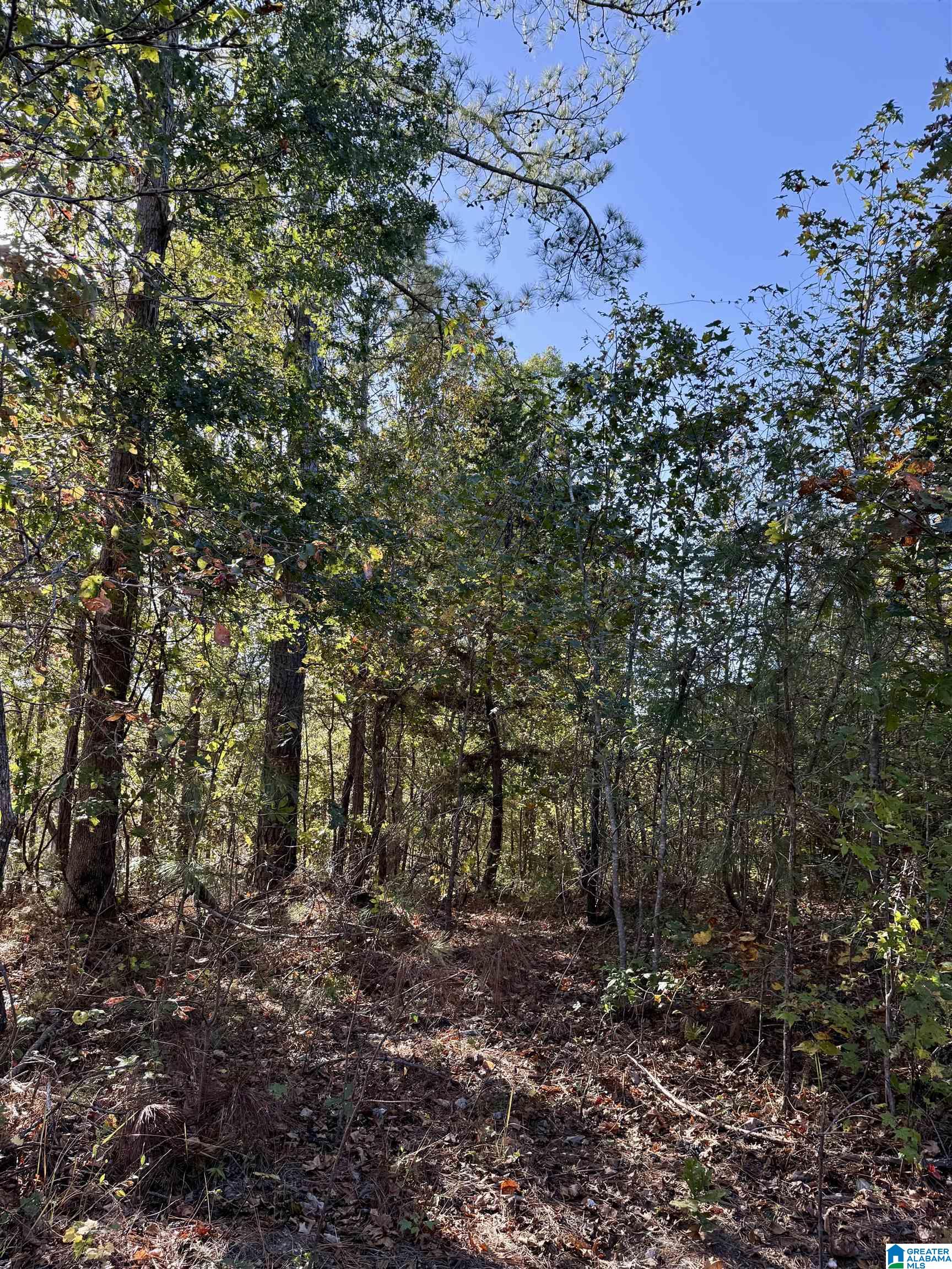 7070 Rendalia Motorway Talladega, AL 35160 - Photo 22 of 28