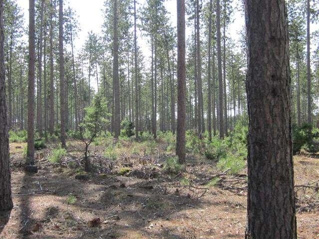 Lot 3 Lee Road, Unit LOT #3 Tomahawk, WI 54487 - Photo 2 of 6 Gallery Image 2
