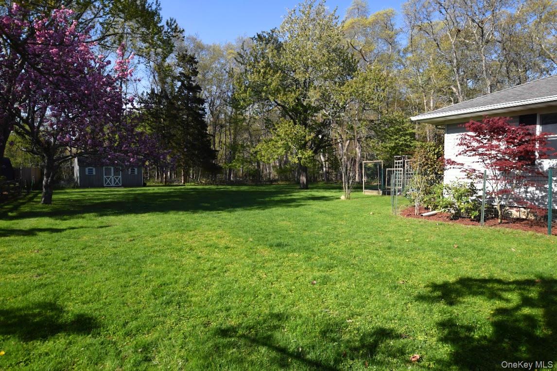 5 Stillwood Road Brookhaven, NY 11719 - Photo 4 of 22 Roomy side yard.
