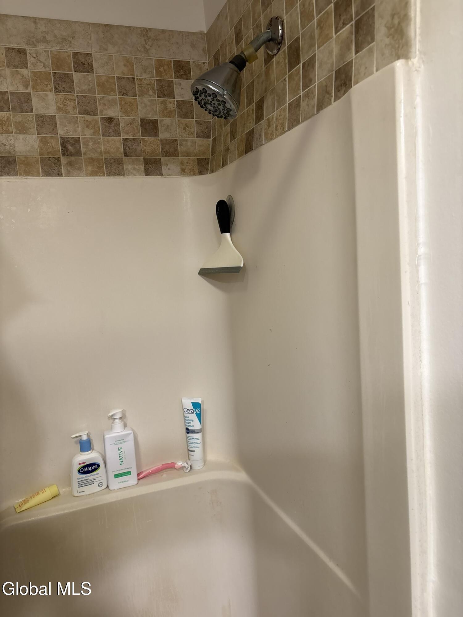 161 Cedarview Lane Colonie, NY 12189 - Photo 20 of 26 IMG_3461