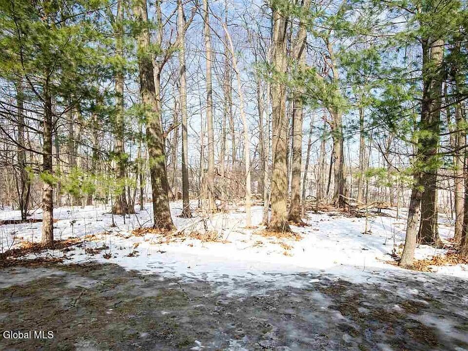 161 Cedarview Lane Colonie, NY 12189 - Photo 22 of 26 4a