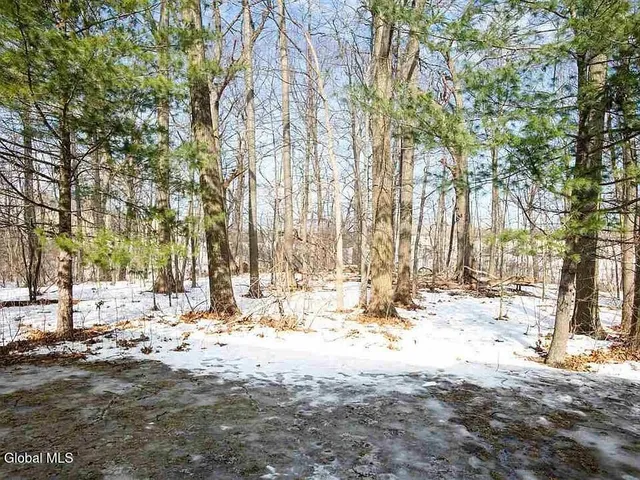 $1,825 | 161 Cedarview Lane, Colonie, NY 12189