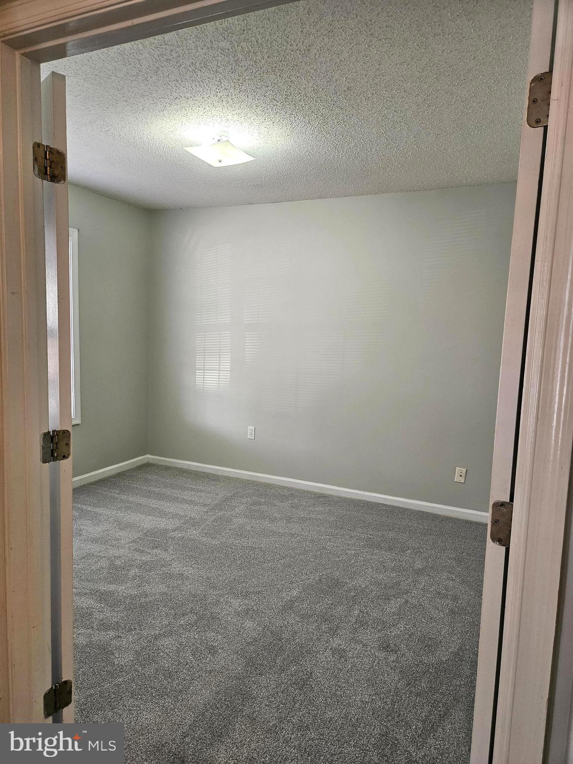 791 Ripplebrook Drive Culpeper, VA 22701 - Photo 16 of 35 Fresh paint and new carpet!