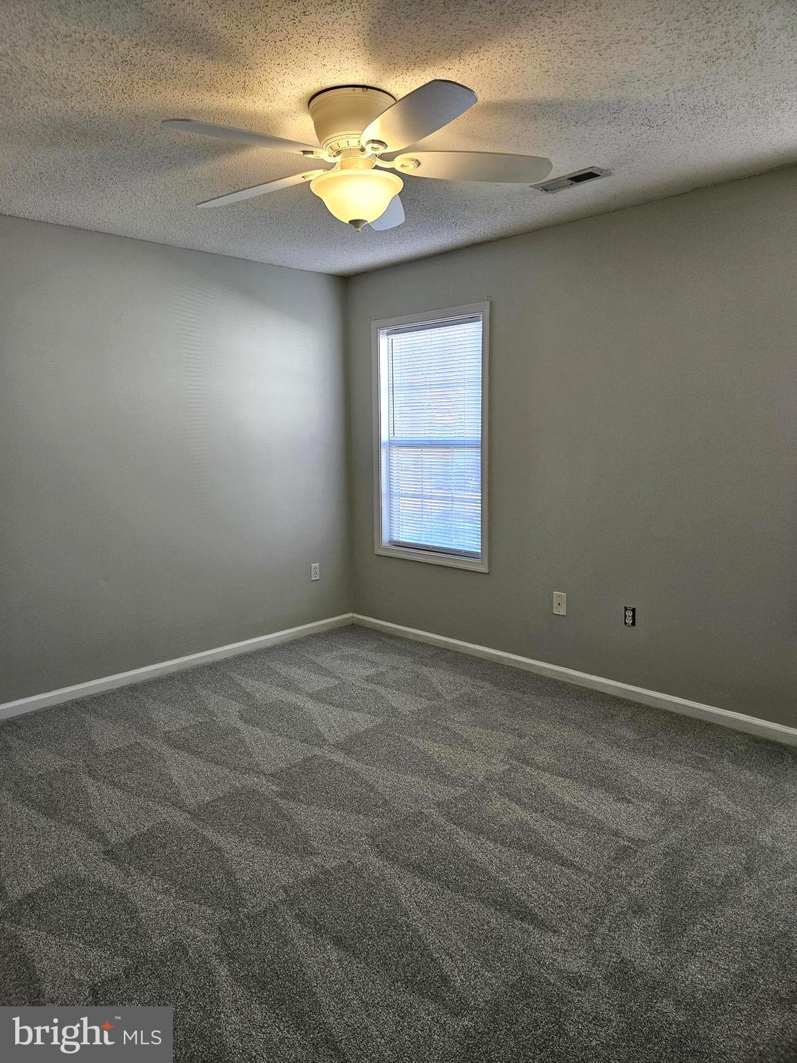 791 Ripplebrook Drive Culpeper, VA 22701 - Photo 22 of 35 Fresh paint and new carpet!