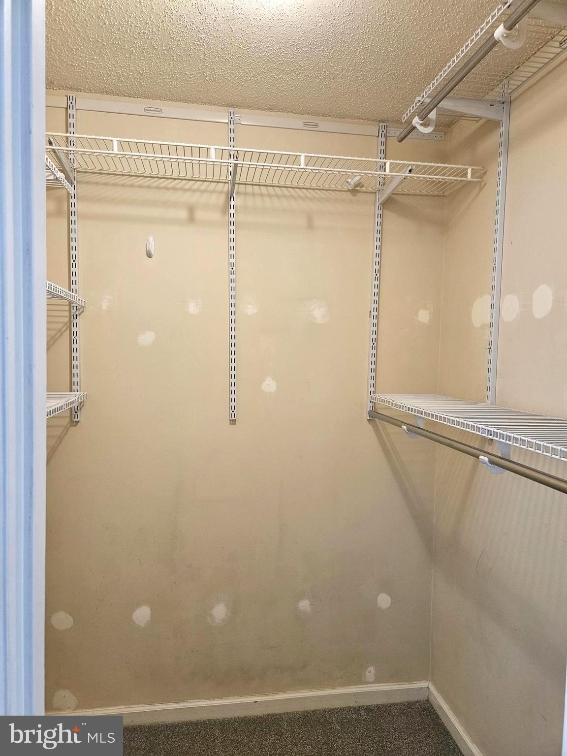 791 Ripplebrook Drive Culpeper, VA 22701 - Photo 27 of 35 Master walk-in closet.