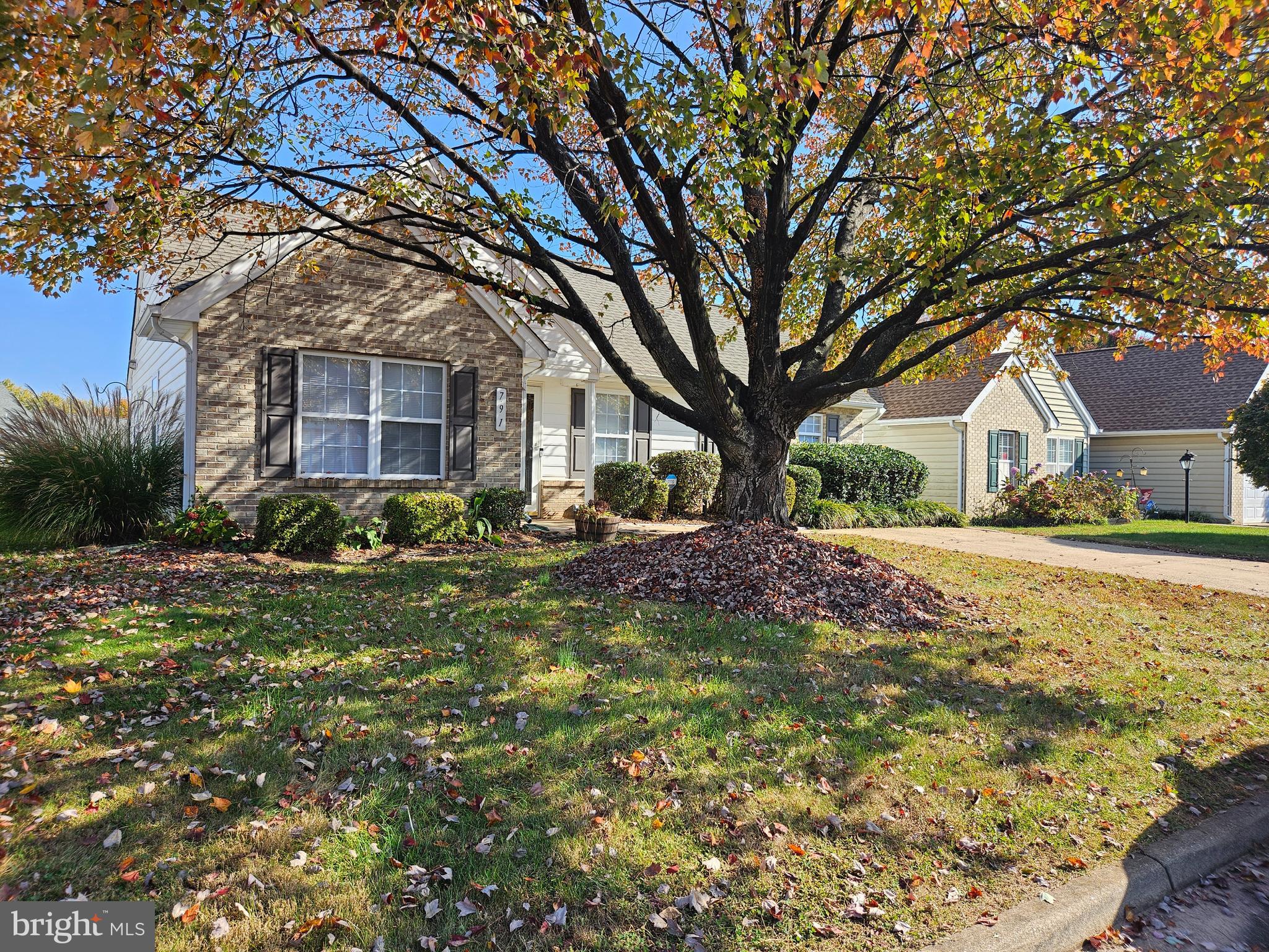 791 Ripplebrook Drive Culpeper, VA 22701 - Photo 3 of 35 Beautiful shade tree in the front yard.