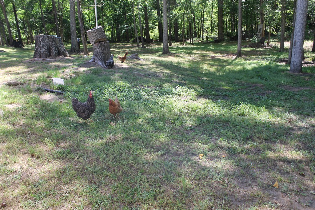 7375 Riverfork Road Waterloo, SC 29384 - Photo 37 of 50