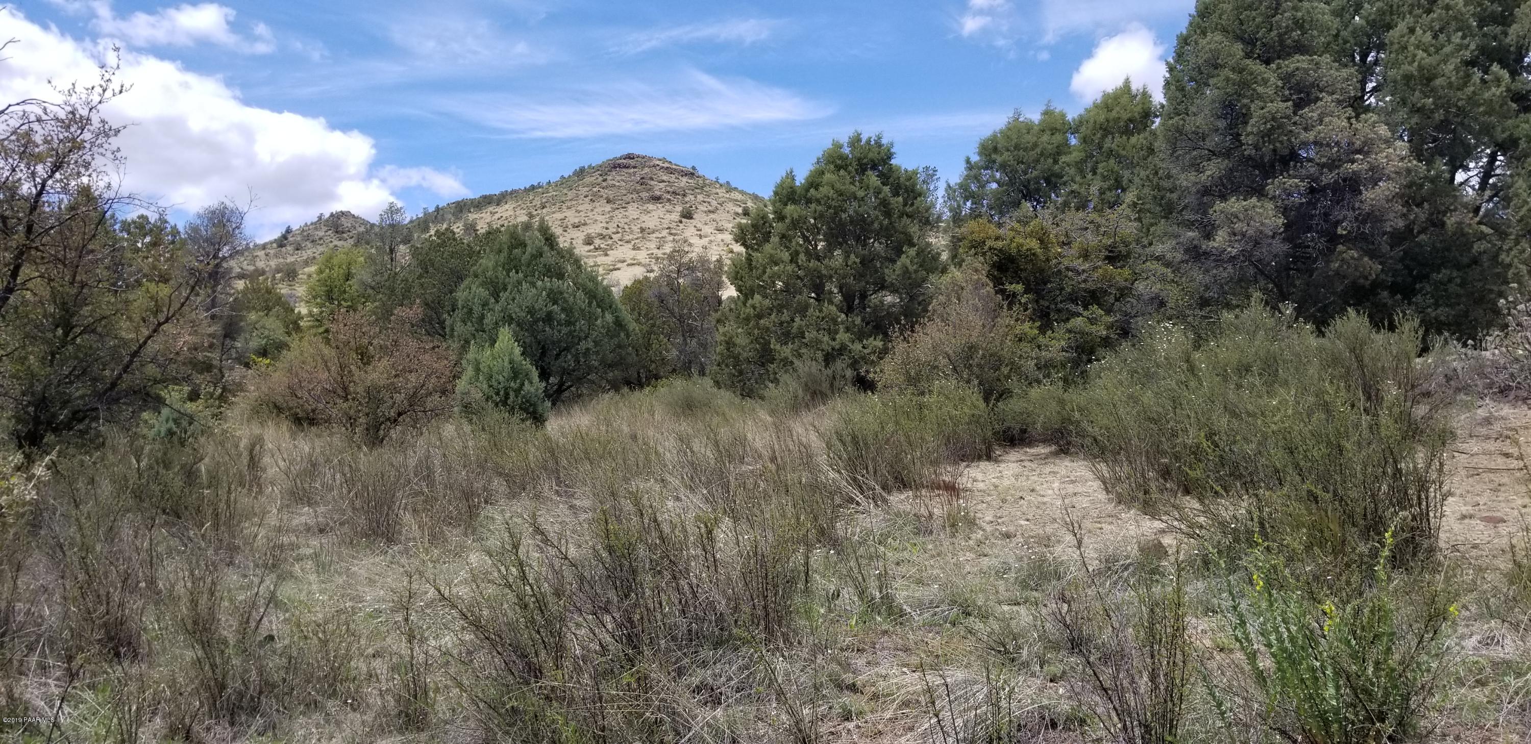 2175 Tonto Ridge Road Prescott, AZ 86305 - Photo 12 of 53 20190528_133839