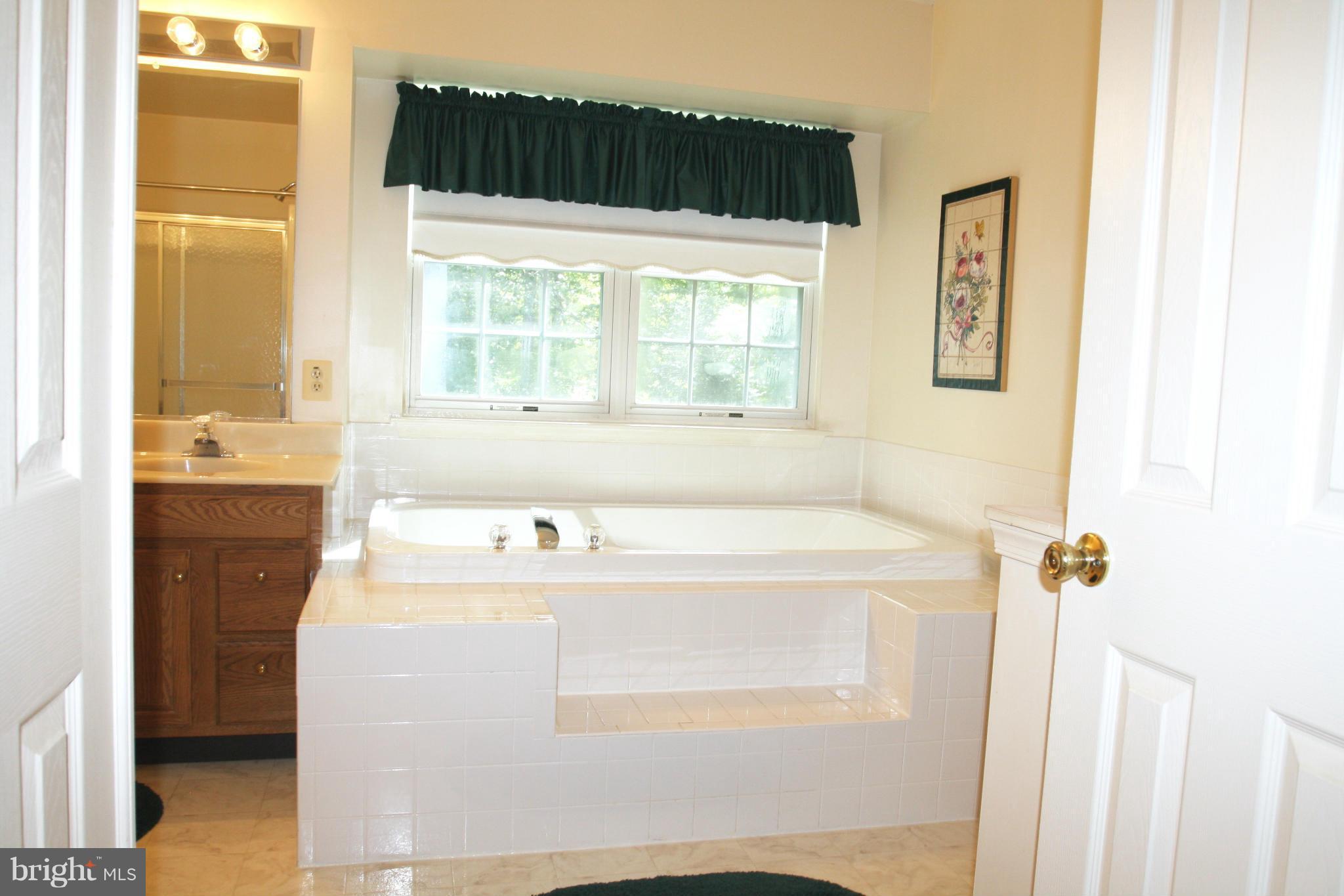 323 Rachaels Way Prince Frederick, MD 20678 - Photo 15 of 30 Bath (Master)