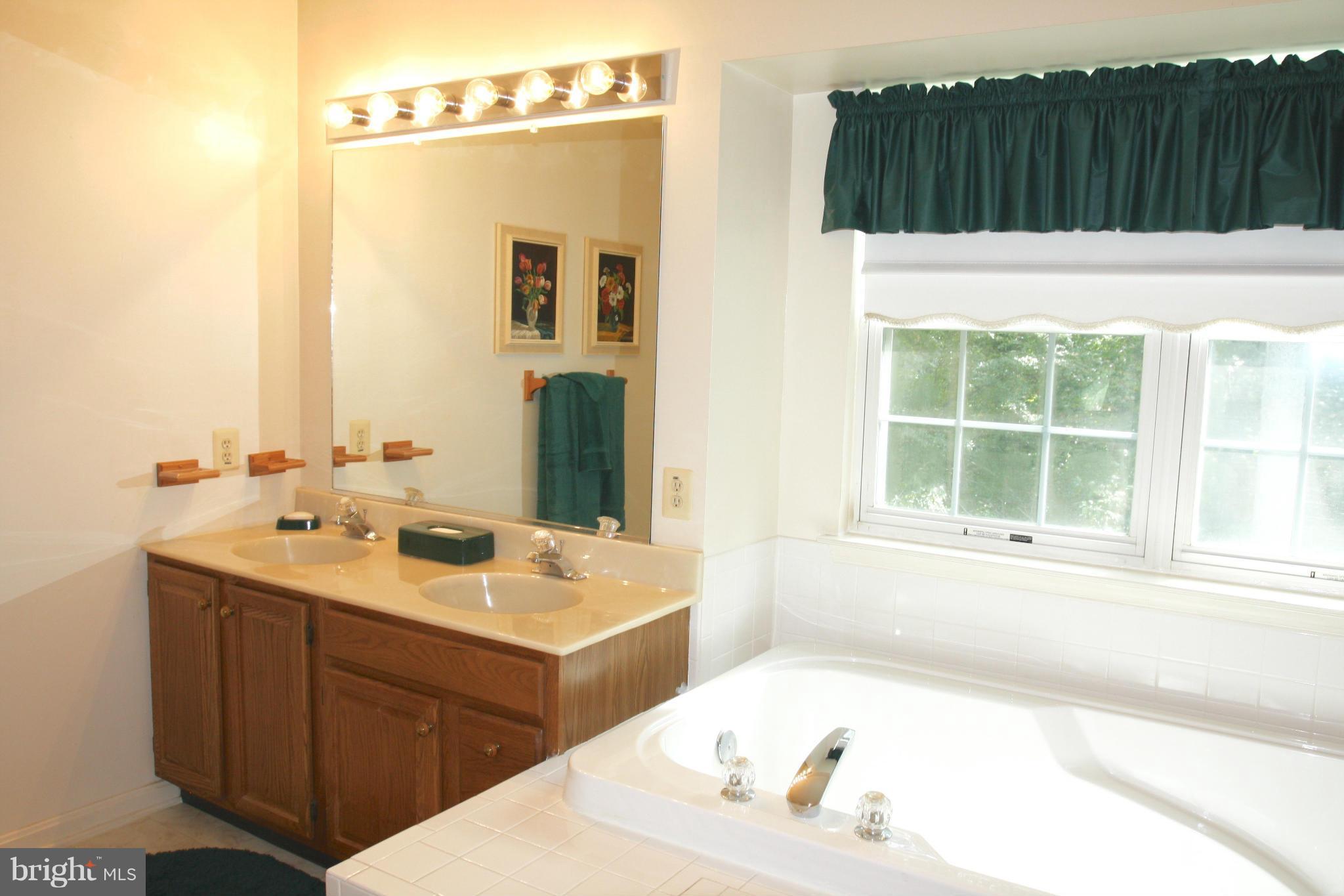 323 Rachaels Way Prince Frederick, MD 20678 - Photo 16 of 30 Bath (Master)