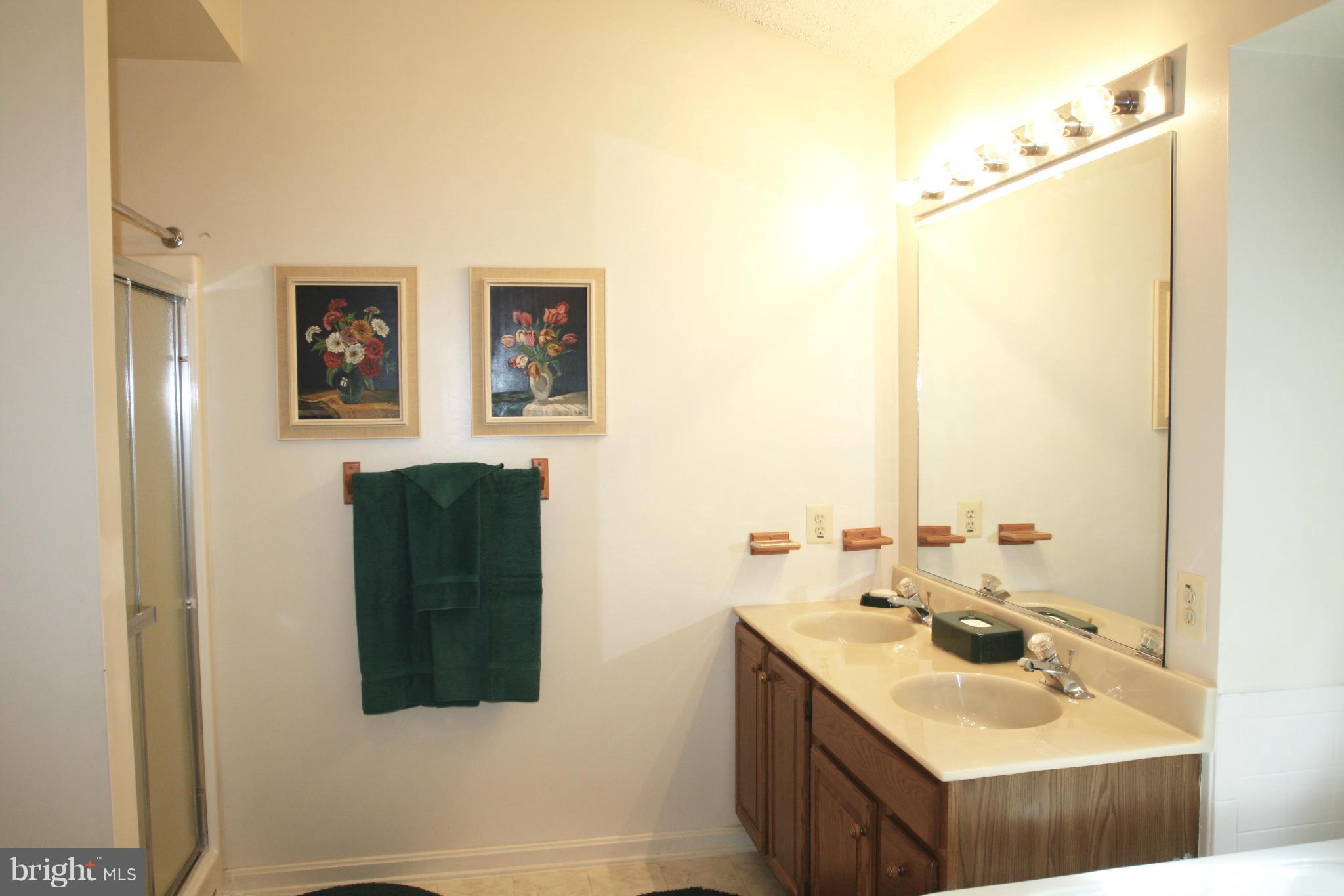 323 Rachaels Way Prince Frederick, MD 20678 - Photo 18 of 30 Bath (Master)