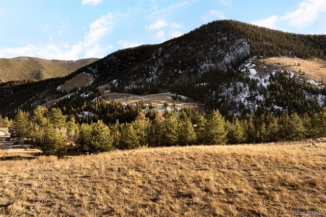 $895,000 | 258 East Mountain Avenue, Empire, CO 80438