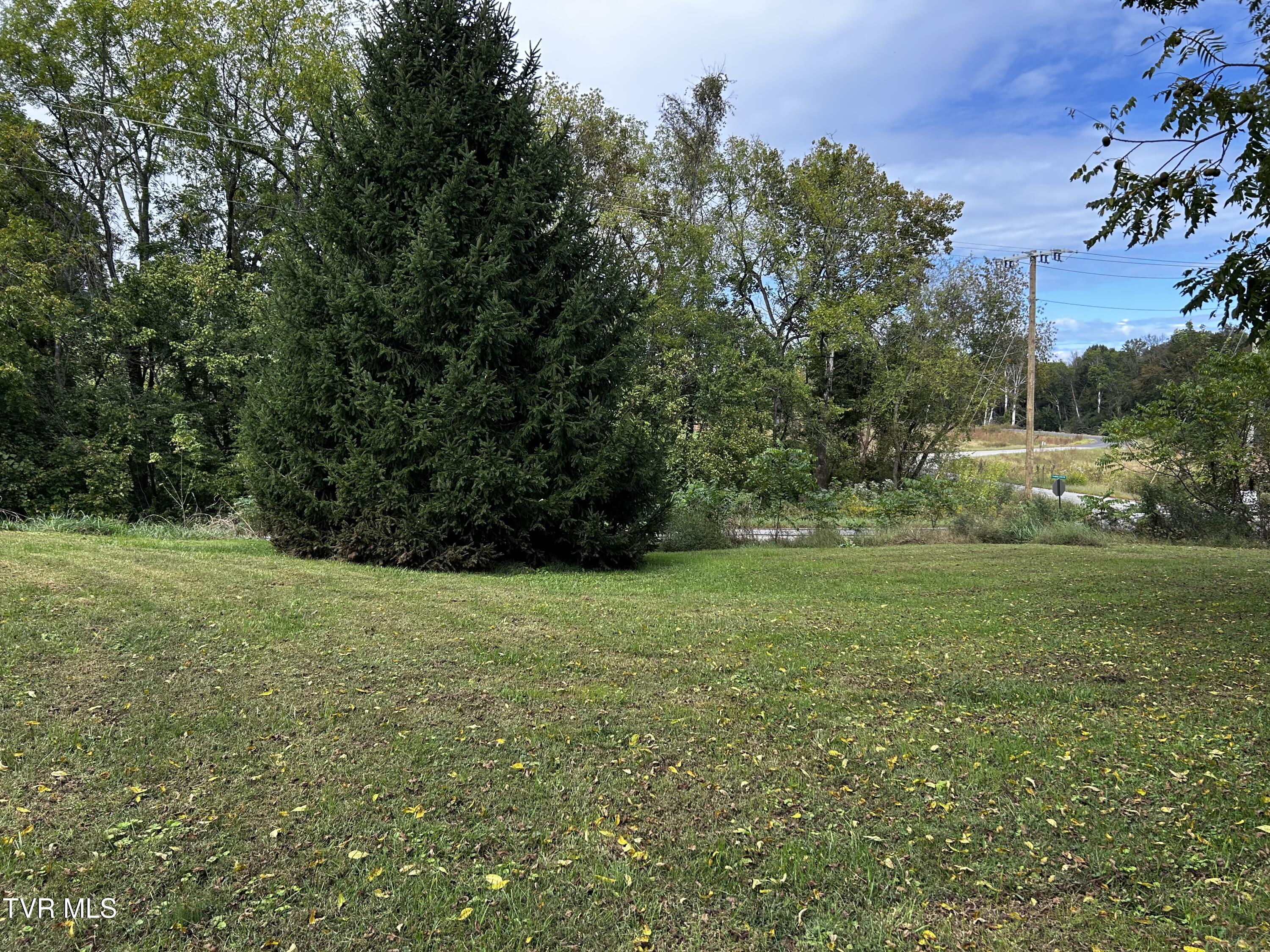 646 Corby Bridge Road Limestone, TN 37681 - Photo 12 of 24 IMG_6981