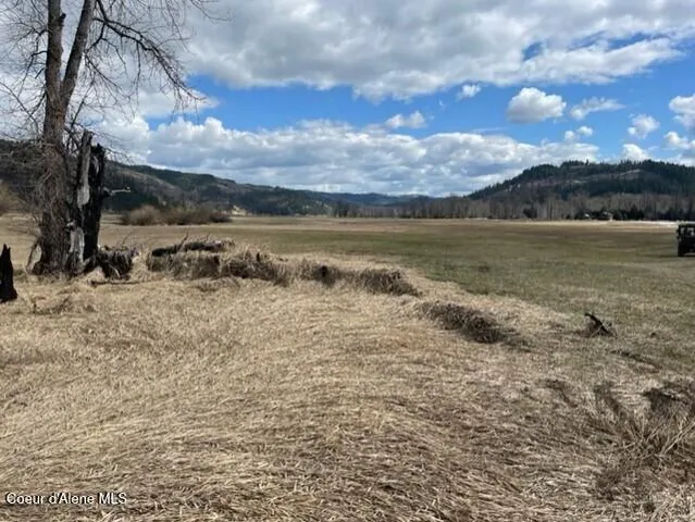 $8,600,000 | 12412 St Joe River Road, St. Maries, ID 83861