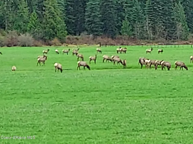 $8,600,000 | 12412 St Joe River Road, St. Maries, ID 83861