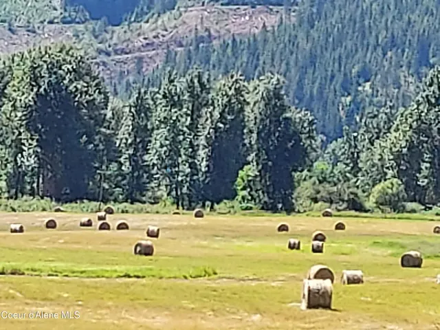 $8,600,000 | 12412 St Joe River Road, St. Maries, ID 83861