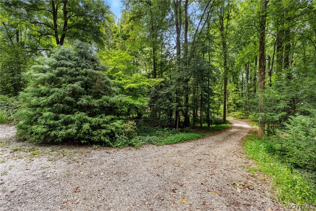 1600 Beaverdam Creek Road Crozier, VA 23039 - Photo 39 of 45 a view of a yard with plants and large trees