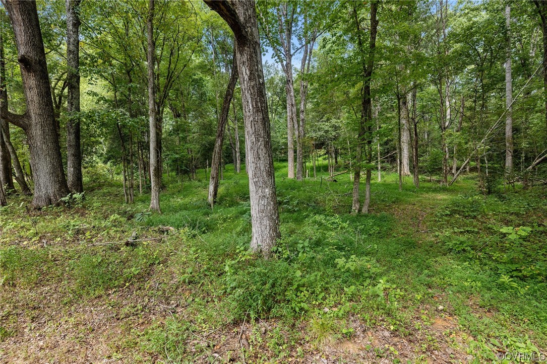 1600 Beaverdam Creek Road Crozier, VA 23039 - Photo 43 of 45 a view of a lush green forest