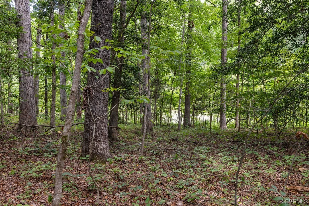 1600 Beaverdam Creek Road Crozier, VA 23039 - Photo 44 of 45 a view of outdoor space with trees