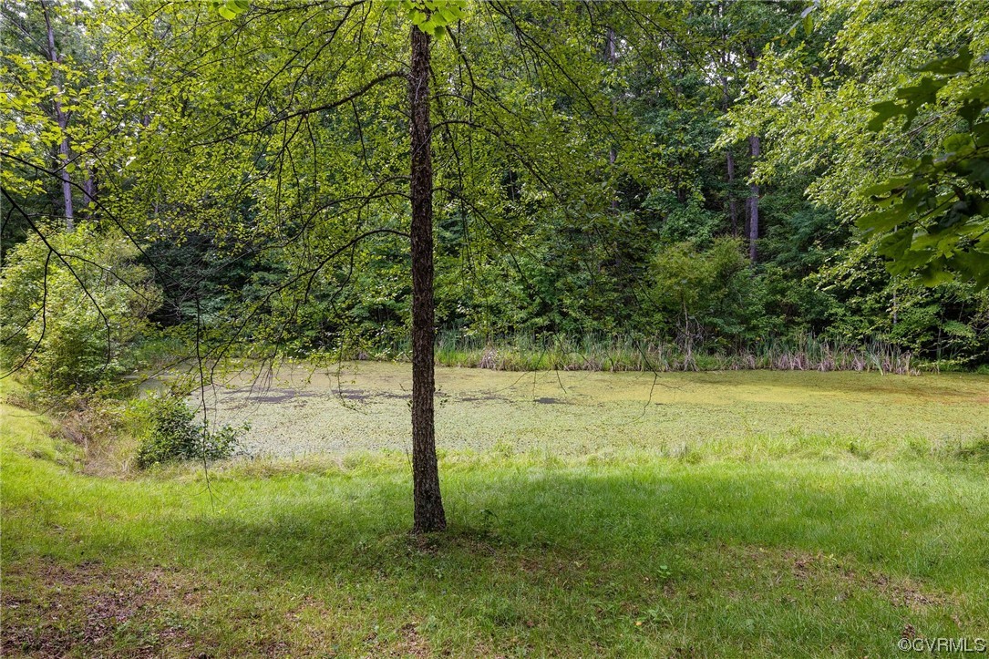 1600 Beaverdam Creek Road Crozier, VA 23039 - Photo 45 of 45 a view of a yard