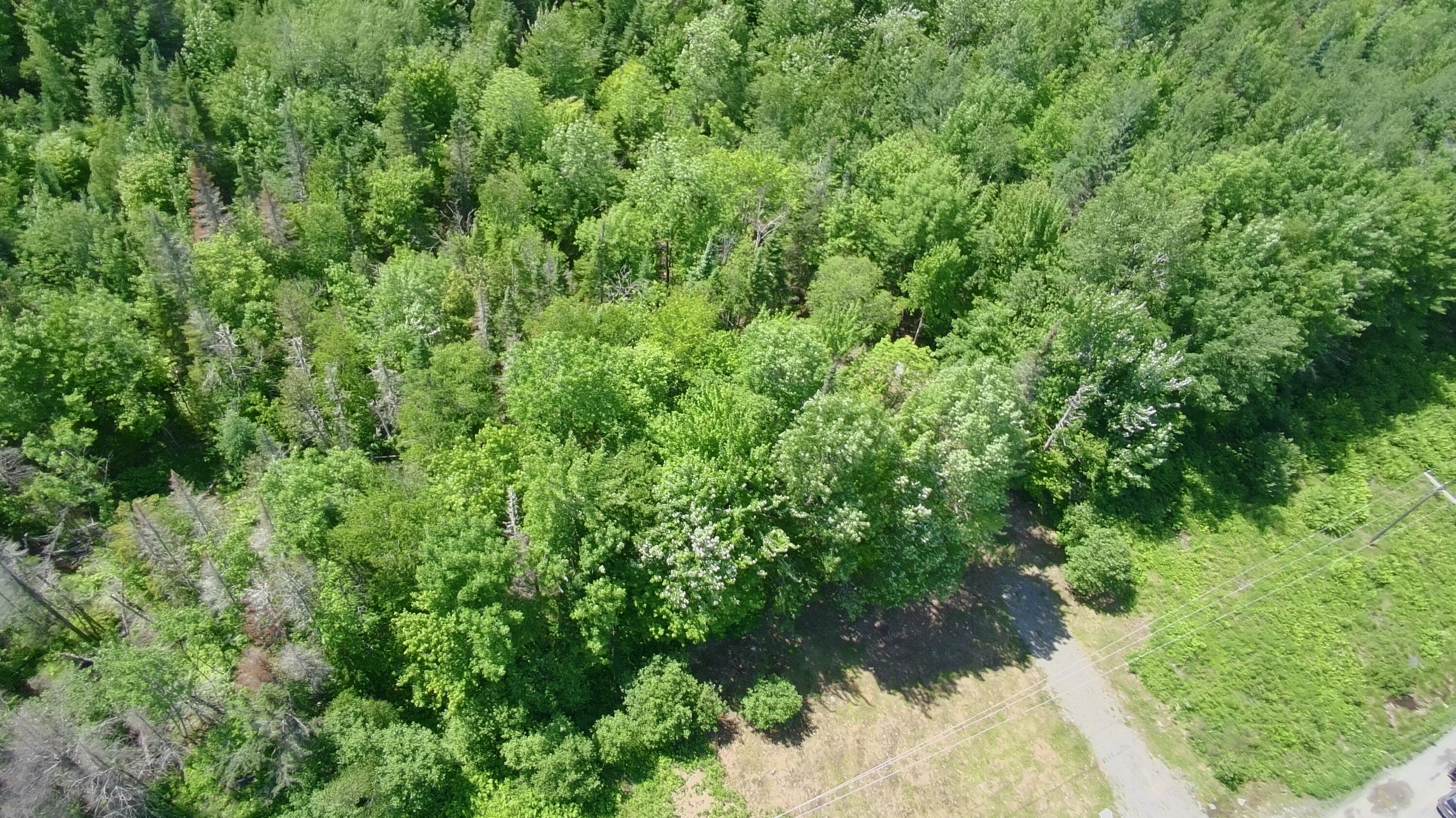 Lot 12-001 Off North Guilford Road Monson, ME 04464 - Photo 8 of 48