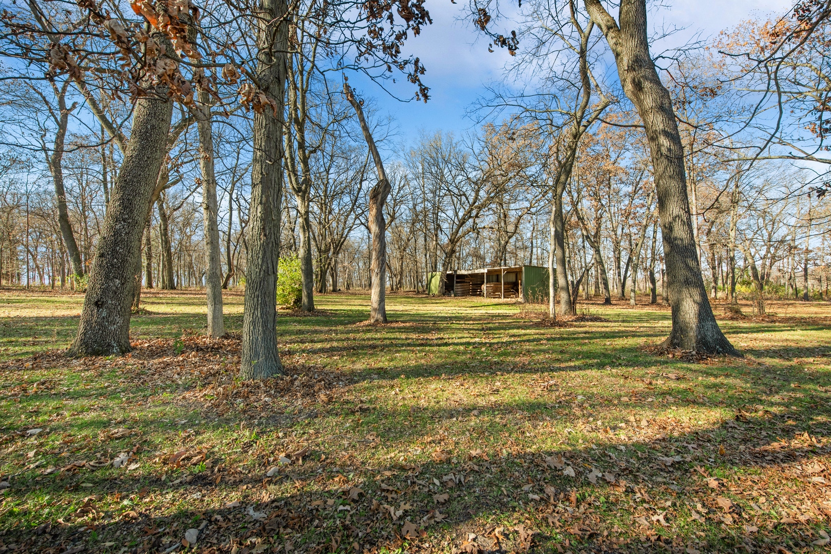 17445 Livingston School Road Caledonia, IL 61011 - Photo 25 of 33 a view of yard with trees