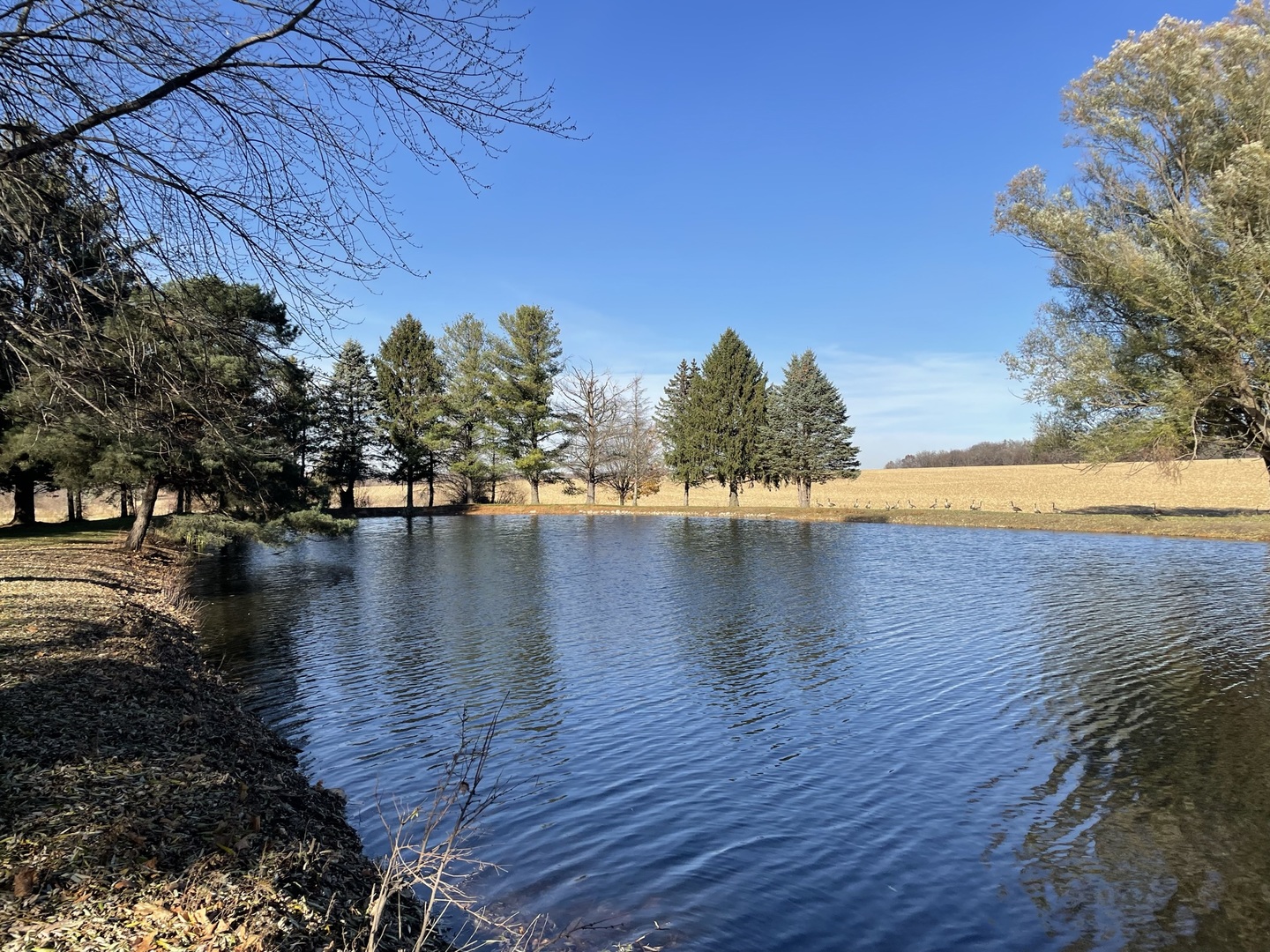 17445 Livingston School Road Caledonia, IL 61011 - Photo 29 of 33 a view of an ocean view