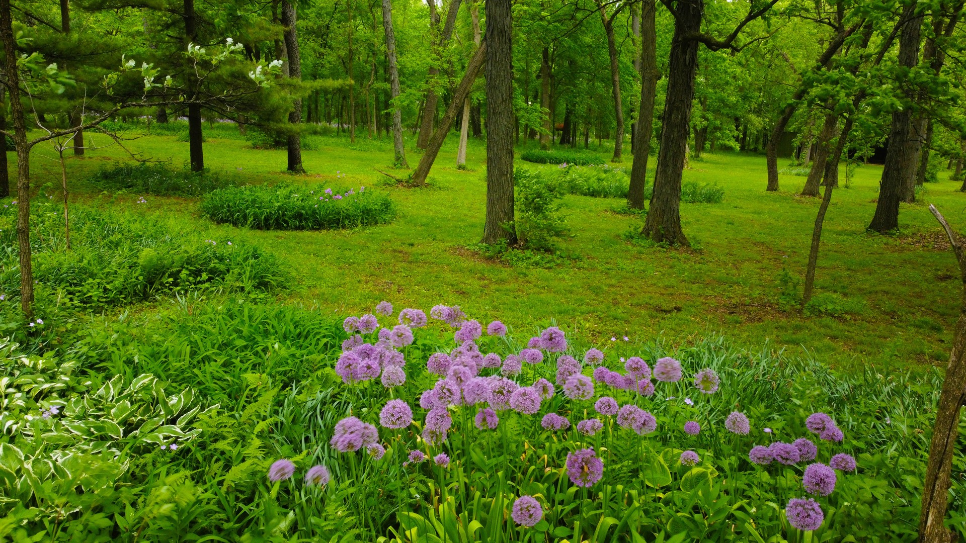 17445 Livingston School Road Caledonia, IL 61011 - Photo 5 of 33 a view of a park with large trees