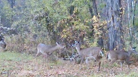 1661 Burch Road Hartford, NY 12832 - Photo 102 of 120 20241207144906949958000000-o