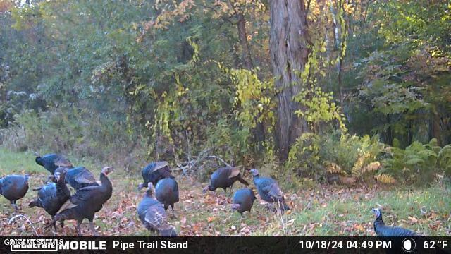 1661 Burch Road Hartford, NY 12832 - Photo 103 of 120 20241211144515089683000000-o