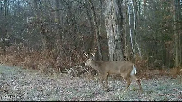 $889,000 | 1661 Burch Road, Hartford, NY 12832