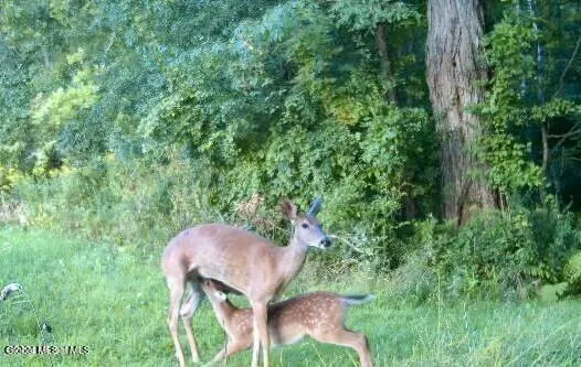 $889,000 | 1661 Burch Road, Hartford, NY 12832