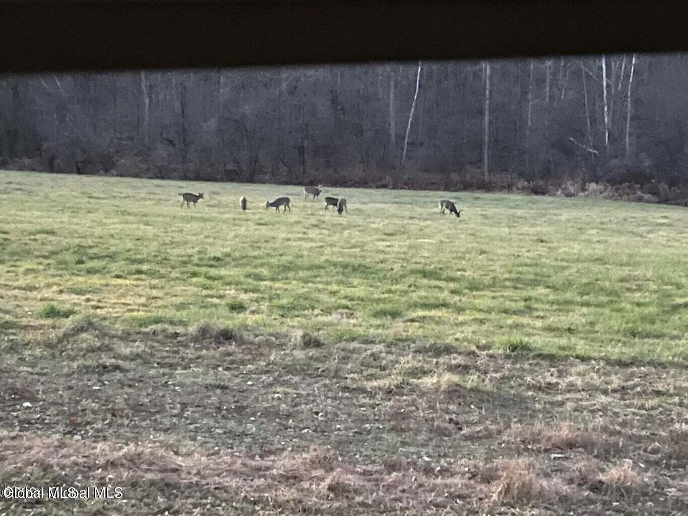 1661 Burch Road Hartford, NY 12832 - Photo 110 of 120 20241211143054095750000000-o