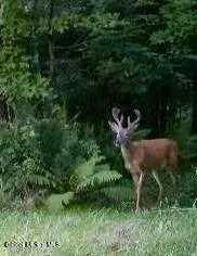 $889,000 | 1661 Burch Road, Hartford, NY 12832