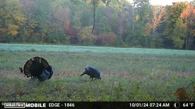 $889,000 | 1661 Burch Road, Hartford, NY 12832