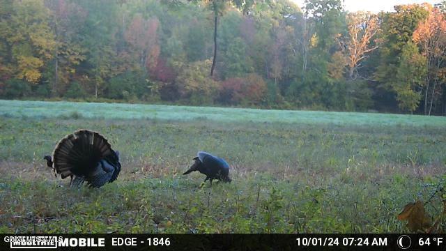 1661 Burch Road Hartford, NY 12832 - Photo 113 of 120 20241211144511196732000000-o