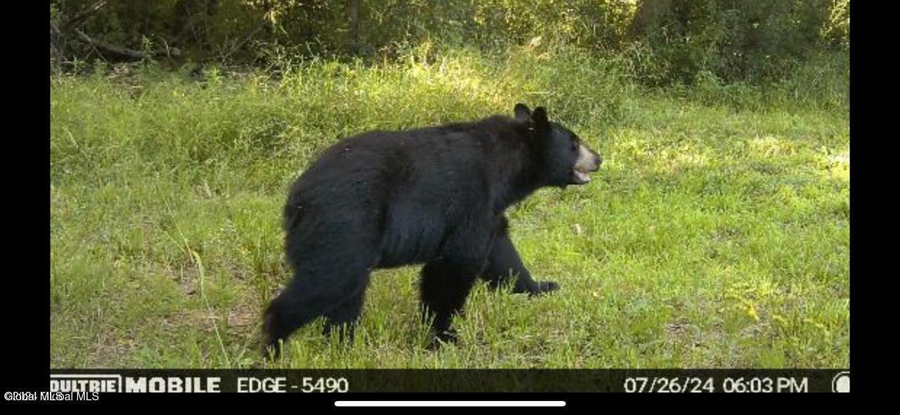 1661 Burch Road Hartford, NY 12832 - Photo 114 of 120 20241211143048847455000000-o