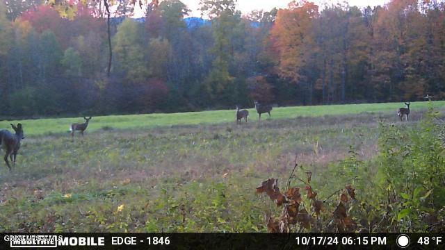 1661 Burch Road Hartford, NY 12832 - Photo 115 of 120 20241211144514517651000000-o