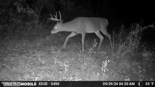 $889,000 | 1661 Burch Road, Hartford, NY 12832