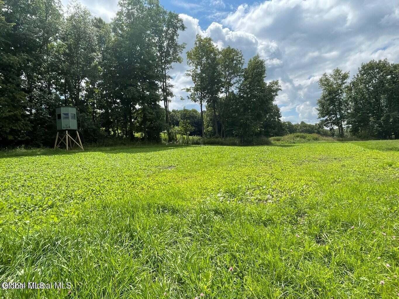 1661 Burch Road Hartford, NY 12832 - Photo 100 of 120 20241211143044513957000000-o