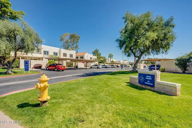a view of a park with large trees