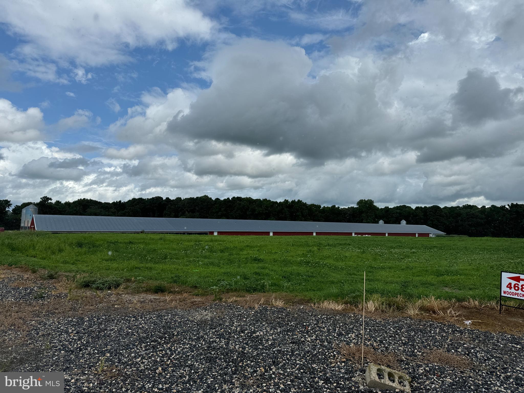 4689 Woodpecker Road Seaford, DE 19973 - Photo 10 of 10 a view of a big yard of a house