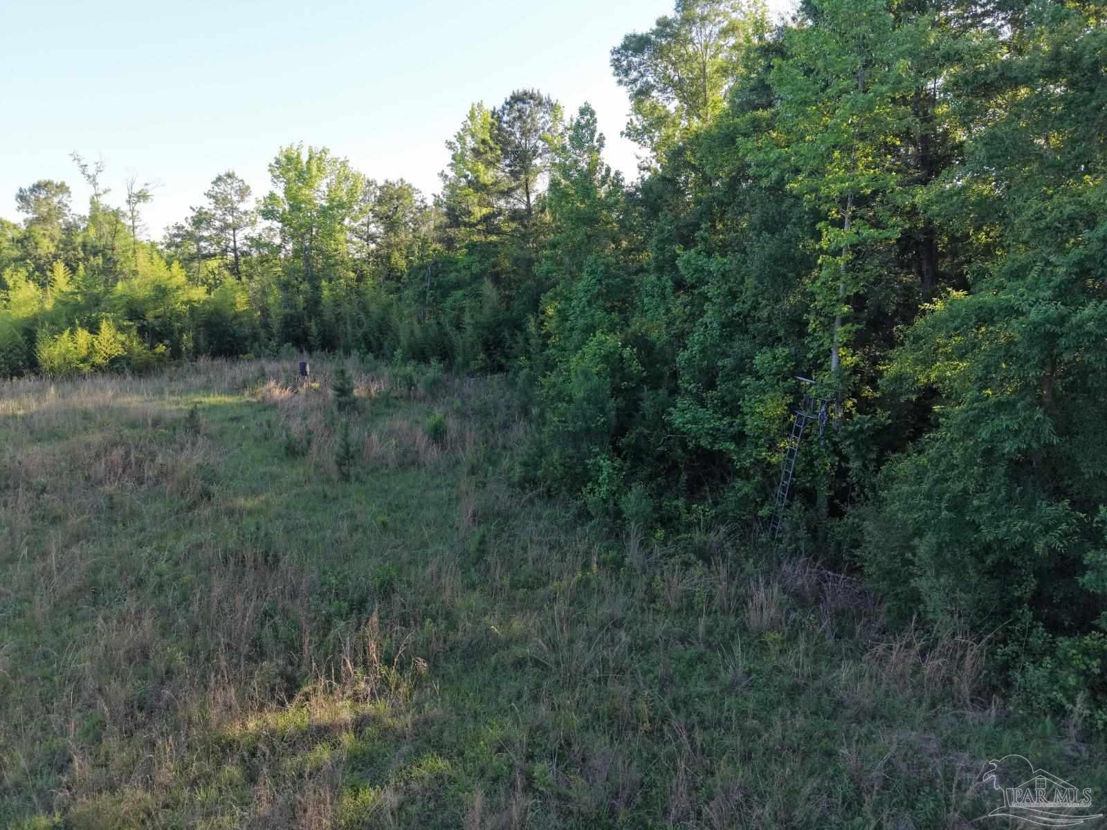 2200 Fannie Road Century, FL 32535 - Photo 12 of 22
