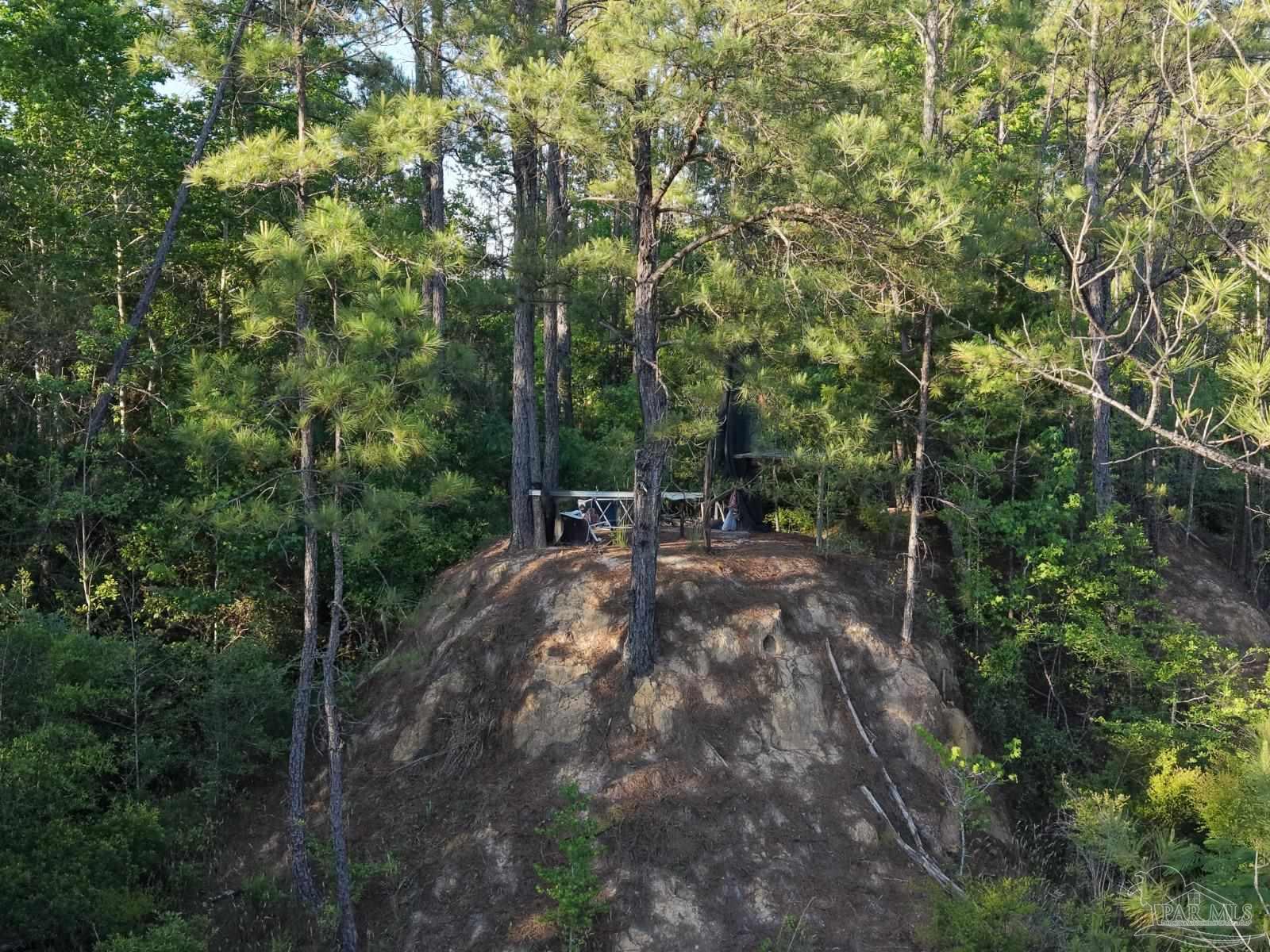 2200 Fannie Road Century, FL 32535 - Photo 13 of 22